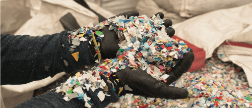 Recolección y Clasificación